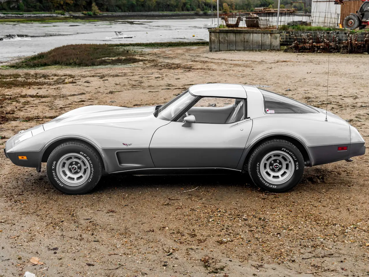 Chevrolet Corvette C3 Anniversary, foto 6