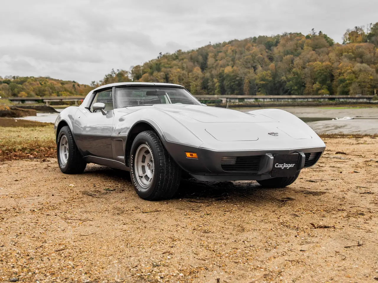Chevrolet Corvette C3 Anniversary, foto 1