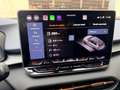 CUPRA Terramar Terramar 1.5 eTSI 110 DSG Azul - thumbnail 13
