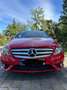 Mercedes-Benz B 250 Panorama /Leder/ (246.244) Rot - thumbnail 1
