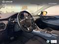 Lexus NX 300 300h Business 2WD Argent - thumbnail 20