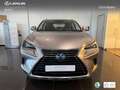 Lexus NX 300 300h Business 2WD Argent - thumbnail 4