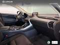 Lexus NX 300 300h Business 2WD Argent - thumbnail 6