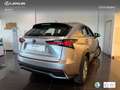 Lexus NX 300 300h Business 2WD Argent - thumbnail 2