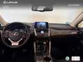 Lexus NX 300 300h Business 2WD Argent - thumbnail 8