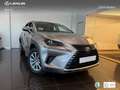 Lexus NX 300 300h Business 2WD Argent - thumbnail 12