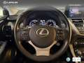 Lexus NX 300 300h Business 2WD Argent - thumbnail 17