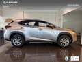 Lexus NX 300 300h Business 2WD Argent - thumbnail 3