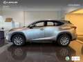 Lexus NX 300 300h Business 2WD Argent - thumbnail 13