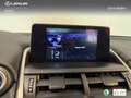 Lexus NX 300 300h Business 2WD Argent - thumbnail 19