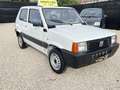 Fiat Panda 1.1i MPI EDITION COLLEGE▫️ GARANTIE 12MOIS▫ Weiß - thumbnail 4