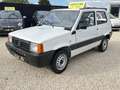 Fiat Panda 1.1i MPI EDITION COLLEGE▫️ GARANTIE 12MOIS▫ Weiß - thumbnail 3