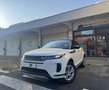 Land Rover Range Rover Evoque Range Rover Evoque II 2.0d i4 awd 163cv auto Bianco - thumbnail 1