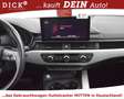 Audi A4 AV 35d S-Tr. Sport NAVI+KAMER+LED+AHK+ACC+SHZ Білий - thumbnail 14