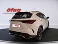 Lexus NX 450h+ F-Sport Bestellung Weiß - thumbnail 5