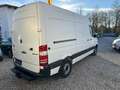 Mercedes-Benz Sprinter 313 CDI KLIMA Weiß - thumbnail 5