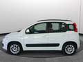 Fiat Panda 1.2 EasyPower Lounge Unicoprop. CERTIFICATA Weiß - thumbnail 22