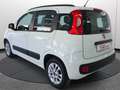 Fiat Panda 1.2 EasyPower Lounge Unicoprop. CERTIFICATA Weiß - thumbnail 21