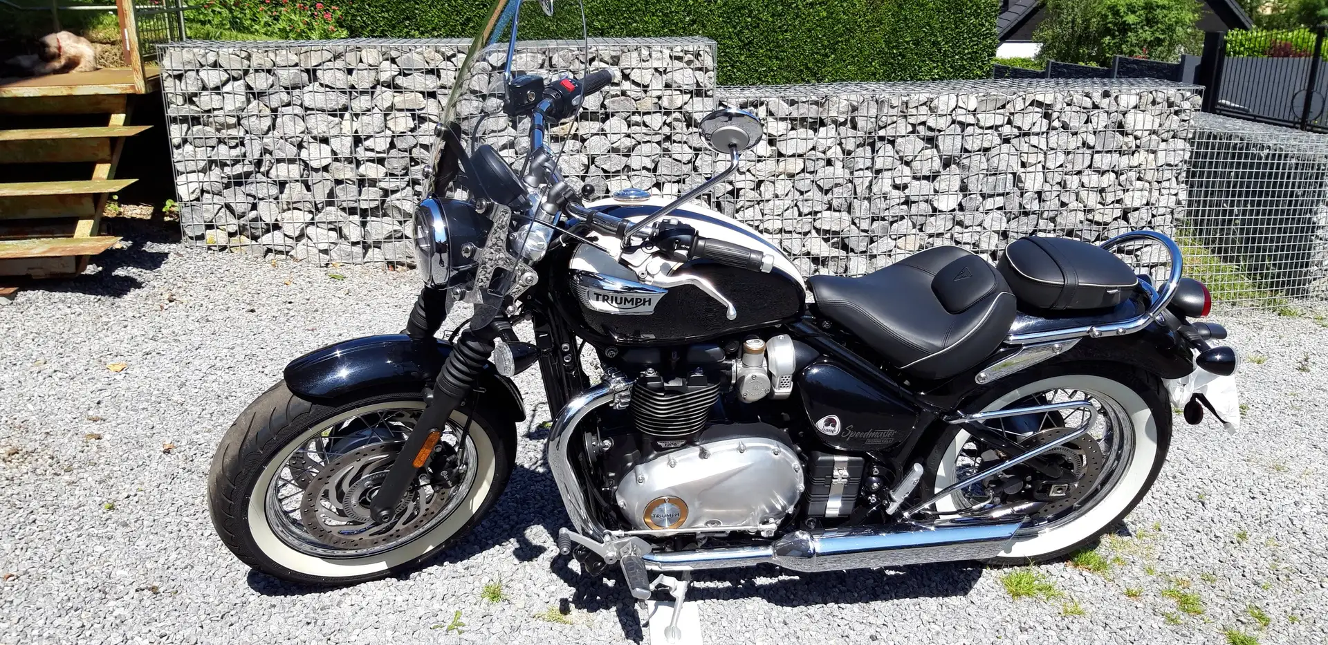 Triumph Speedmaster BONNEVILLE SPEEDMASTER bijela - 2