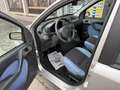 Fiat Panda 1.2 Emotion COME NUOVA QUASI PERFETTA UNICA PROPRI Argent - thumbnail 16