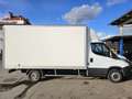 Iveco Daily 35S16 Aut. Weiß - thumbnail 4