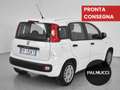 Fiat Panda Panda 1.2 EasyPower Easy - thumbnail 2
