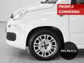 Fiat Panda Panda 1.2 EasyPower Easy - thumbnail 5
