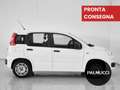 Fiat Panda Panda 1.2 EasyPower Easy - thumbnail 4