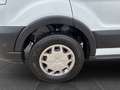 Ford Transit Kasten 350 L2 Trend TÜC AC Blanc - thumbnail 12