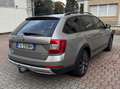 Skoda Octavia Octavia Scoit 2.0 tdi Scout4x4 184cv dsg Argento - thumbnail 3