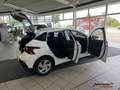 Hyundai i20 1,2 DPI Comfort Club Tageszulassung Blanco - thumbnail 10