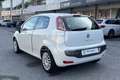 Fiat Punto Evo Punto Evo 1.2 3 porte Dynamic Bianco - thumbnail 7