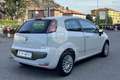 Fiat Punto Evo Punto Evo 1.2 3 porte Dynamic Bianco - thumbnail 5