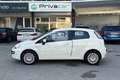 Fiat Punto Evo Punto Evo 1.2 3 porte Dynamic Bianco - thumbnail 8