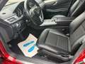 Mercedes-Benz E 220 T-Modell*LED*NAVI*ILS*SITZHZG* Rojo - thumbnail 13