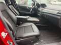 Mercedes-Benz E 220 T-Modell*LED*NAVI*ILS*SITZHZG* Rojo - thumbnail 9