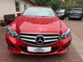 Mercedes-Benz E 220 T-Modell*LED*NAVI*ILS*SITZHZG* Rojo - thumbnail 11