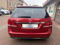 Mercedes-Benz E 220 T-Modell*LED*NAVI*ILS*SITZHZG* Rojo - thumbnail 4