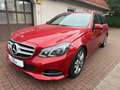 Mercedes-Benz E 220 T-Modell*LED*NAVI*ILS*SITZHZG* Rojo - thumbnail 1