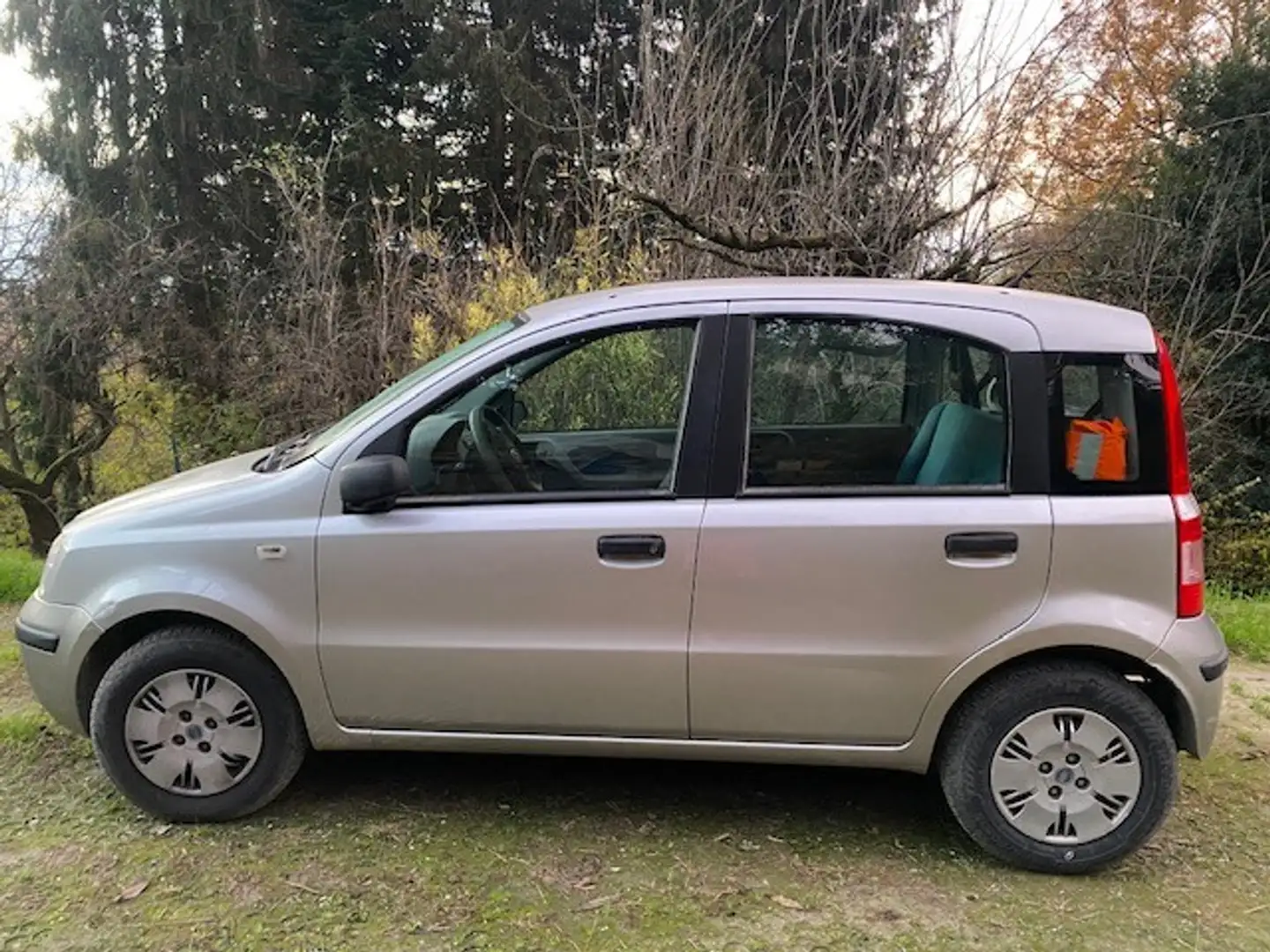 Fiat Panda Panda 1.2 Stříbrná - 1