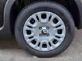 Fiat Panda 1.0 FireFly Hybrid Pop Schwarz - thumbnail 4