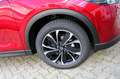 Mazda CX-5 G165 e-Skyactiv MHEV Advantage Navi PDC Rosso - thumbnail 20