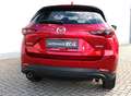 Mazda CX-5 G165 e-Skyactiv MHEV Advantage Navi PDC Rosso - thumbnail 8