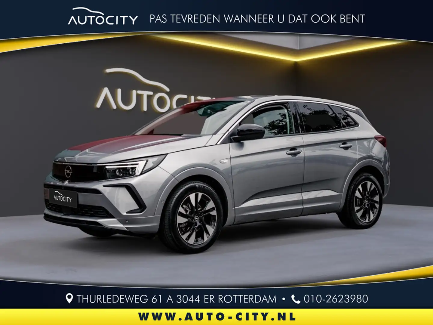 Opel Grandland X Grandland 1.2 Turbo Business Elegance 360 Camera l Zilver - 1