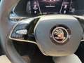 Skoda Superb 4x4 Style TDI DSG Grau - thumbnail 7