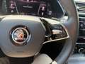 Skoda Superb 4x4 Style TDI DSG Grau - thumbnail 8