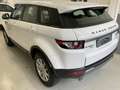Land Rover Range Rover Evoque Range Rover Evoque 2.2 TD4 5p. Dynamic Grigio - thumbnail 12