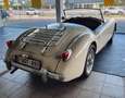 MG MGA Weiß - thumbnail 6