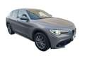 Alfa Romeo Stelvio 2.2 TD AT8 Q4 Executive *TAGLIANDI CERTIFICATI* Grau - thumbnail 1