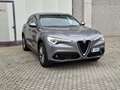 Alfa Romeo Stelvio 2.2 TD AT8 Q4 Executive *TAGLIANDI CERTIFICATI* Gris - thumbnail 1